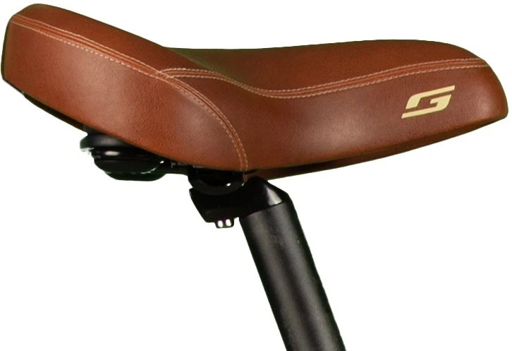 Vélo Électrique Granville E-Integrated 30+ 500Wh Chameleon Silver Matt – Image 3