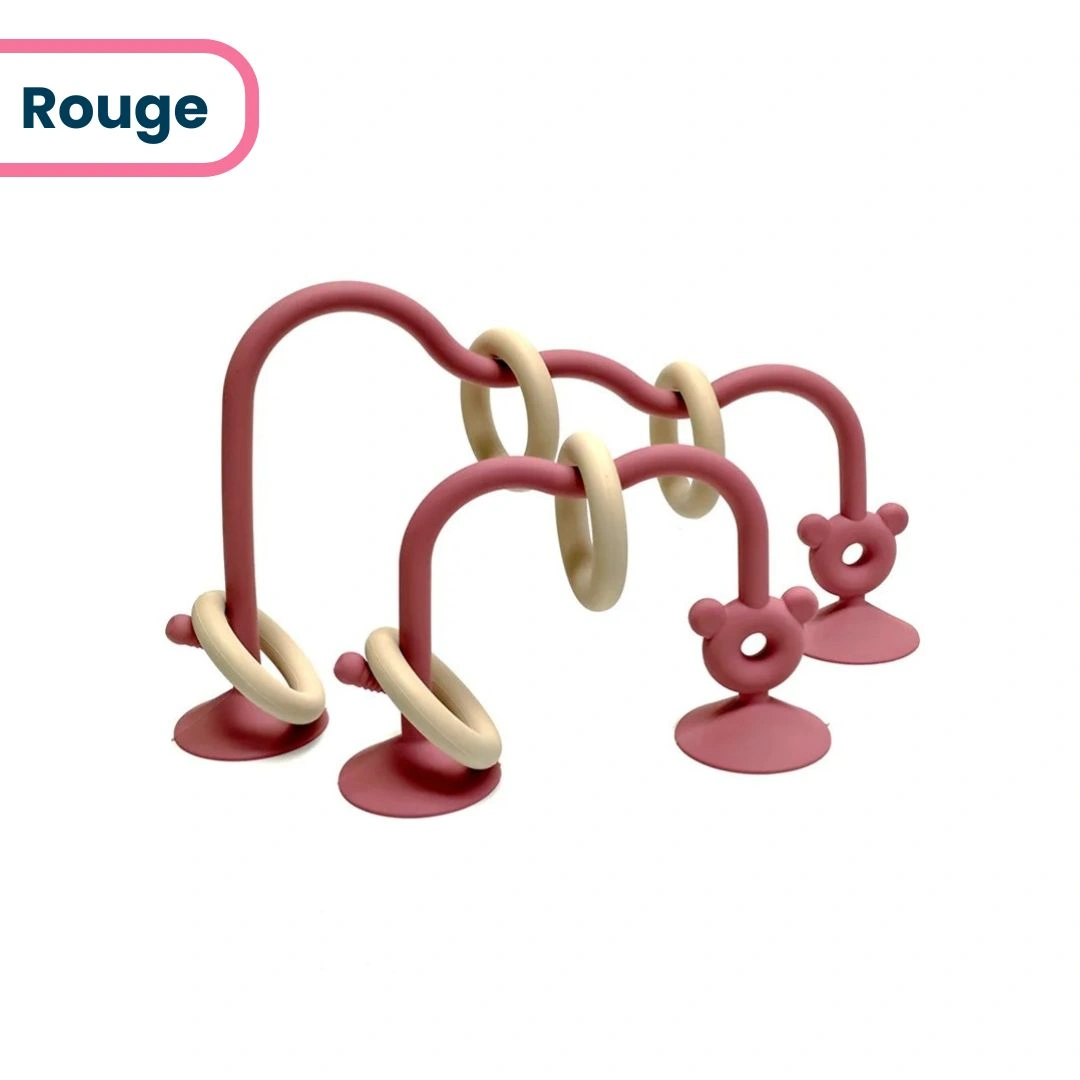 Circuit Anneaux Dentition – Image 7