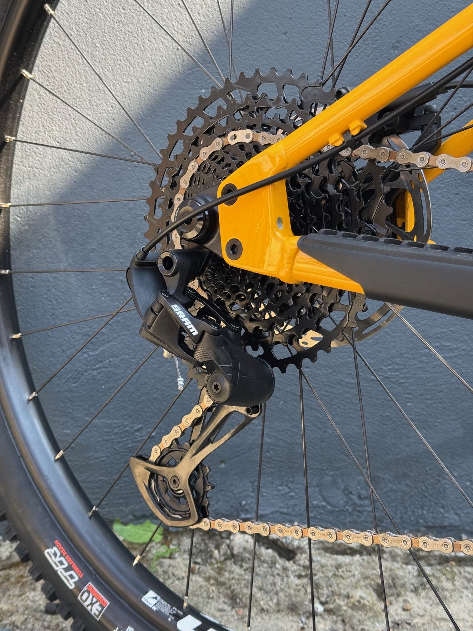 SANTA CRUZ Chameleon D 29″ – Golden Yellow – Image 7