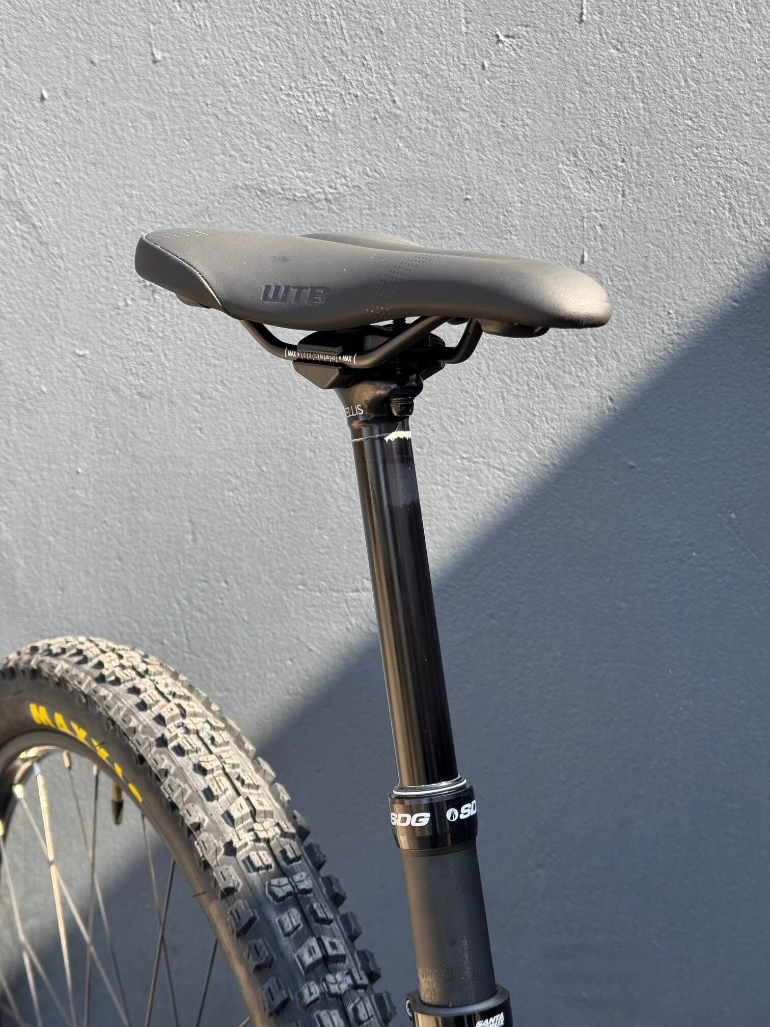 SANTA CRUZ Chameleon D 29″ – Golden Yellow – Image 5