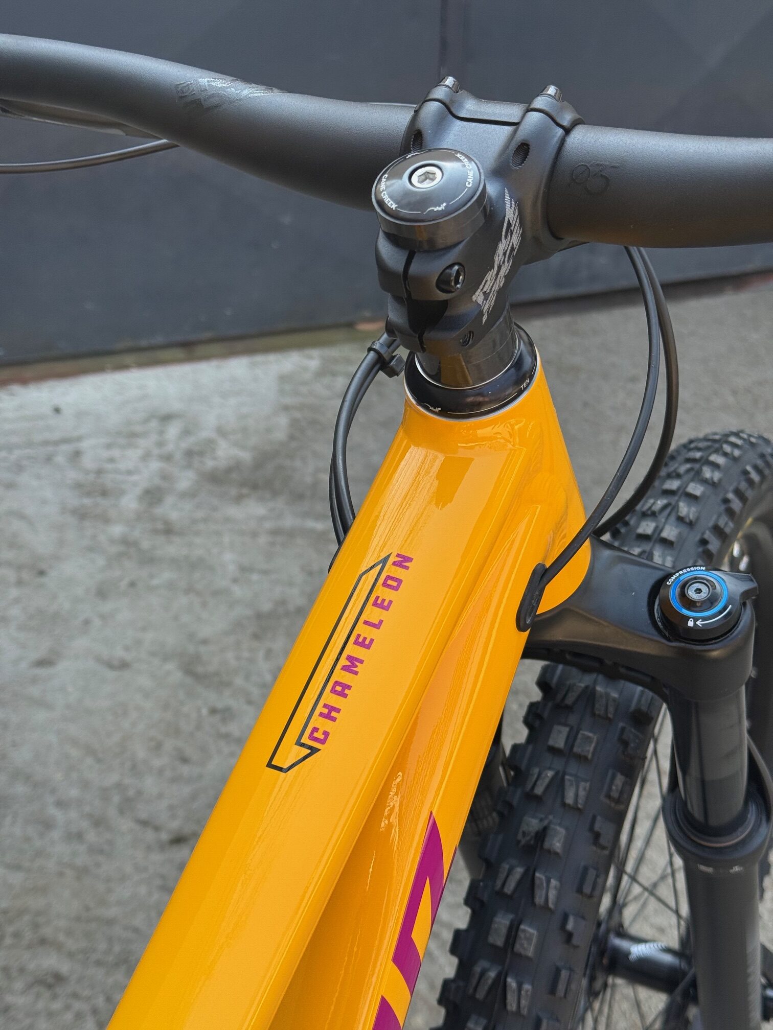 SANTA CRUZ Chameleon D 29″ – Golden Yellow – Image 3