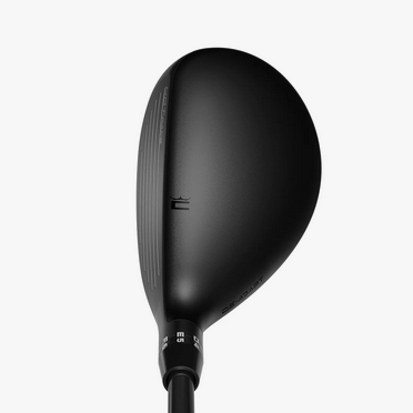 Hybride Cobra DS-ADAPT – Image 3