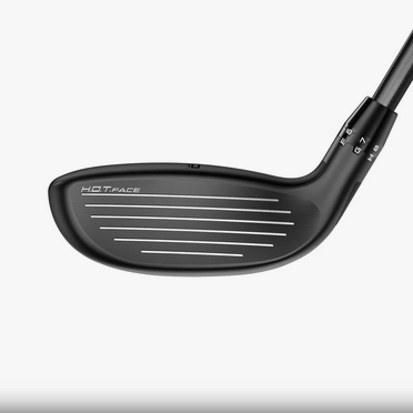 Hybride Cobra DS-ADAPT – Image 4