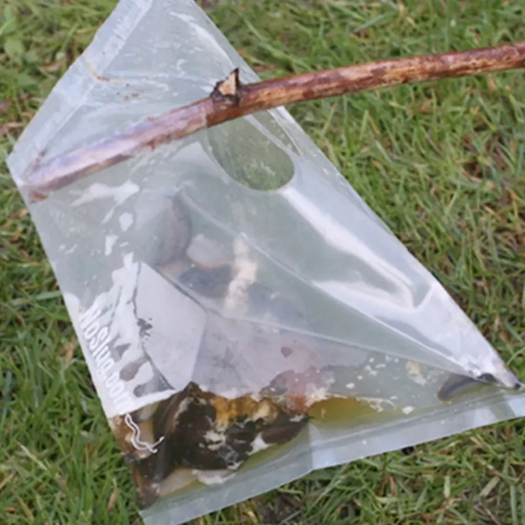 Attrape limaces jardin sans produits chimiques – Élimine les nuisibles efficacement sans danger pour vos plantes – Image 5