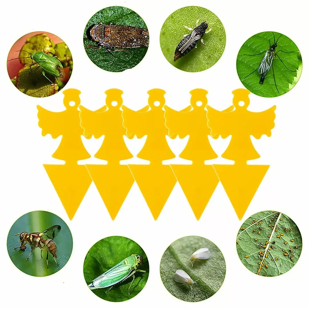 Piège à frelons asiatiques extérieur jardin – Protection efficace et naturelle pour repas en plein air sans nuisibles