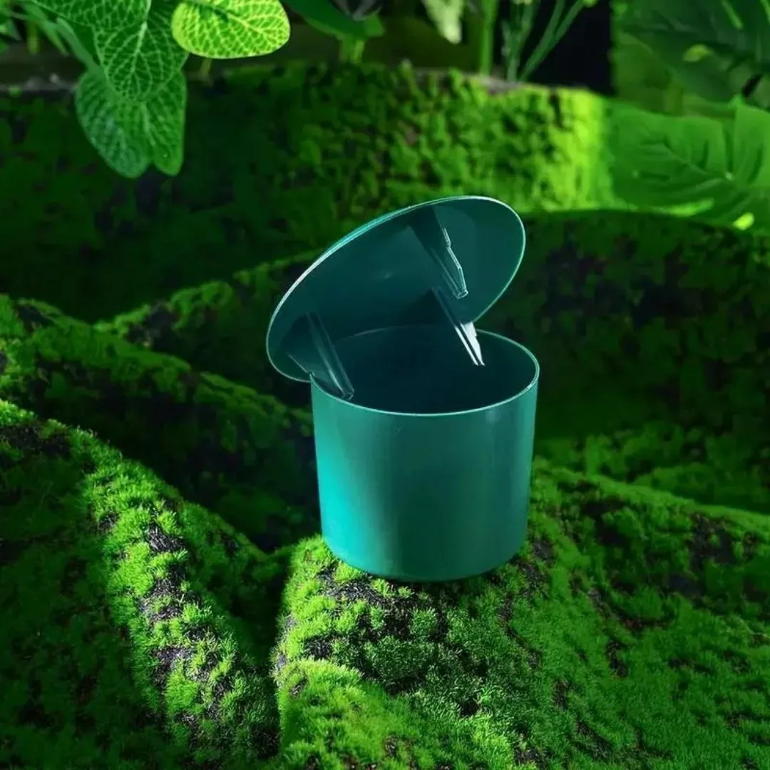 Piège à limaces sans produit chimique