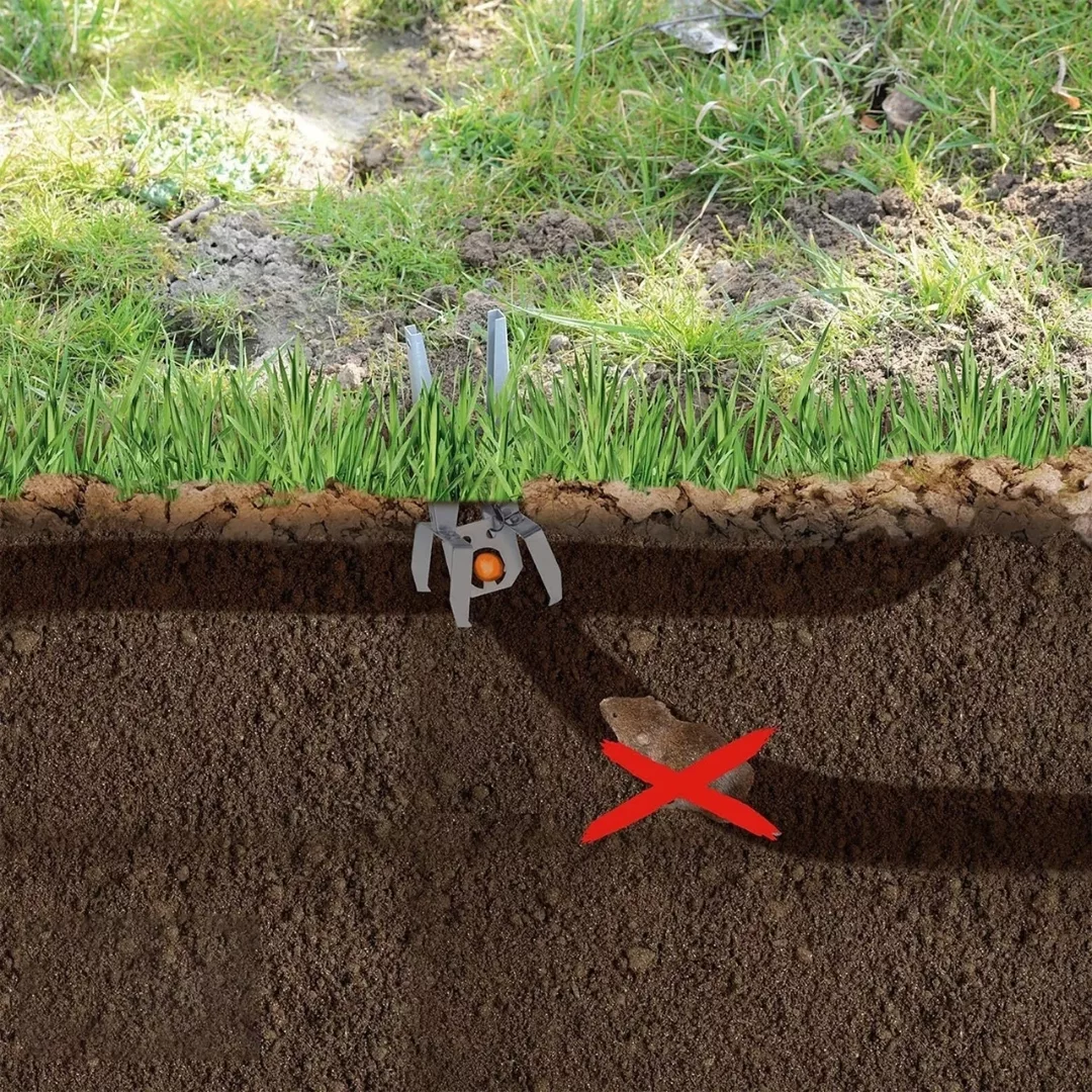 Piège anti taupe efficace – Éliminez les taupes rapidement et sans effort – Solution durable pour jardin sain – Image 4